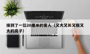 接到了一位20厘米的客人（又大又长又租又大的房子）