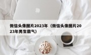 微信头像图片2023年（微信头像图片2023年男生霸气）