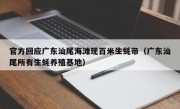 官方回应广东汕尾海滩现百米生蚝带（广东汕尾所有生蚝养殖基地）