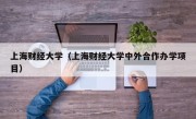 上海财经大学（上海财经大学中外合作办学项目）