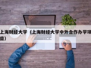 上海财经大学（上海财经大学中外合作办学项目）