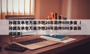 孙国友承包万亩沙地20年栽种600多亩（孙国友承包万亩沙地20年栽种600多亩新闻摘要）