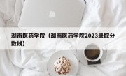 湖南医药学院（湖南医药学院2023录取分数线）