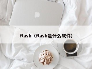 flash（flash是什么软件）