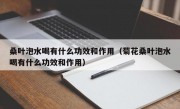 桑叶泡水喝有什么功效和作用（菊花桑叶泡水喝有什么功效和作用）