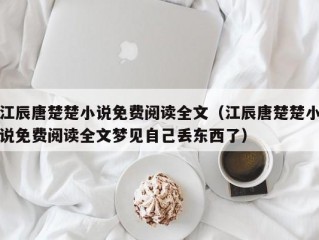 江辰唐楚楚小说免费阅读全文（江辰唐楚楚小说免费阅读全文梦见自己丢东西了）