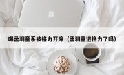 曝孟羽童系被格力开除（孟羽童进格力了吗）