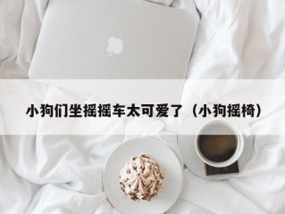 小狗们坐摇摇车太可爱了（小狗摇椅）