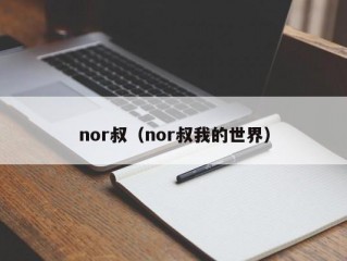 nor叔（nor叔我的世界）