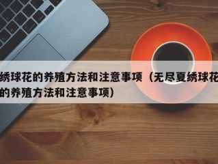 绣球花的养殖方法和注意事项（无尽夏绣球花的养殖方法和注意事项）