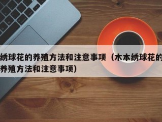 绣球花的养殖方法和注意事项（木本绣球花的养殖方法和注意事项）