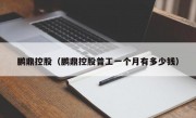 鹏鼎控股（鹏鼎控股普工一个月有多少钱）