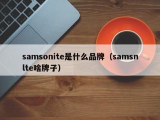 samsonite是什么品牌（samsnlte啥牌子）