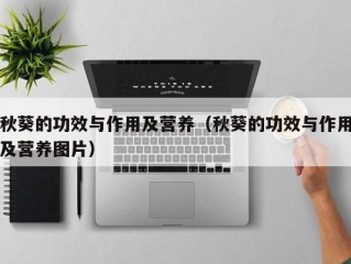 秋葵的功效与作用及营养（秋葵的功效与作用及营养图片）