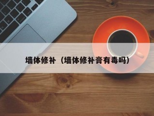 墙体修补（墙体修补膏有毒吗）