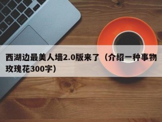 西湖边最美人墙2.0版来了（介绍一种事物玫瑰花300字）