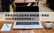 专家谈350亿氢能项目:侮辱智商（专家谈350亿氢能项目侮辱智商孞）