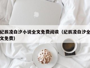 纪辰凌白汐小说全文免费阅读（纪辰凌白汐全文免费）