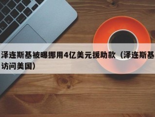 泽连斯基被曝挪用4亿美元援助款（泽连斯基访问美国）