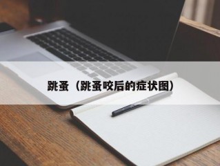 跳蚤（跳蚤咬后的症状图）