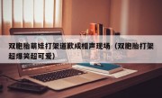 双胞胎萌娃打架道歉成相声现场（双胞胎打架超爆笑超可爱）