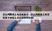 怎么判断床上有没有虱子（怎么判断床上有没有虱子微信上怎么交农村社保）