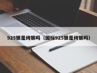 925银是纯银吗（国标925银是纯银吗）