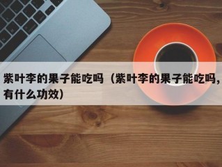 紫叶李的果子能吃吗（紫叶李的果子能吃吗,有什么功效）