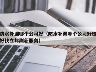 防水补漏哪个公司好（防水补漏哪个公司好极好找立邦刷新服务）