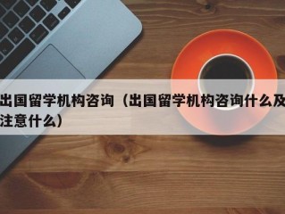 出国留学机构咨询（出国留学机构咨询什么及注意什么）